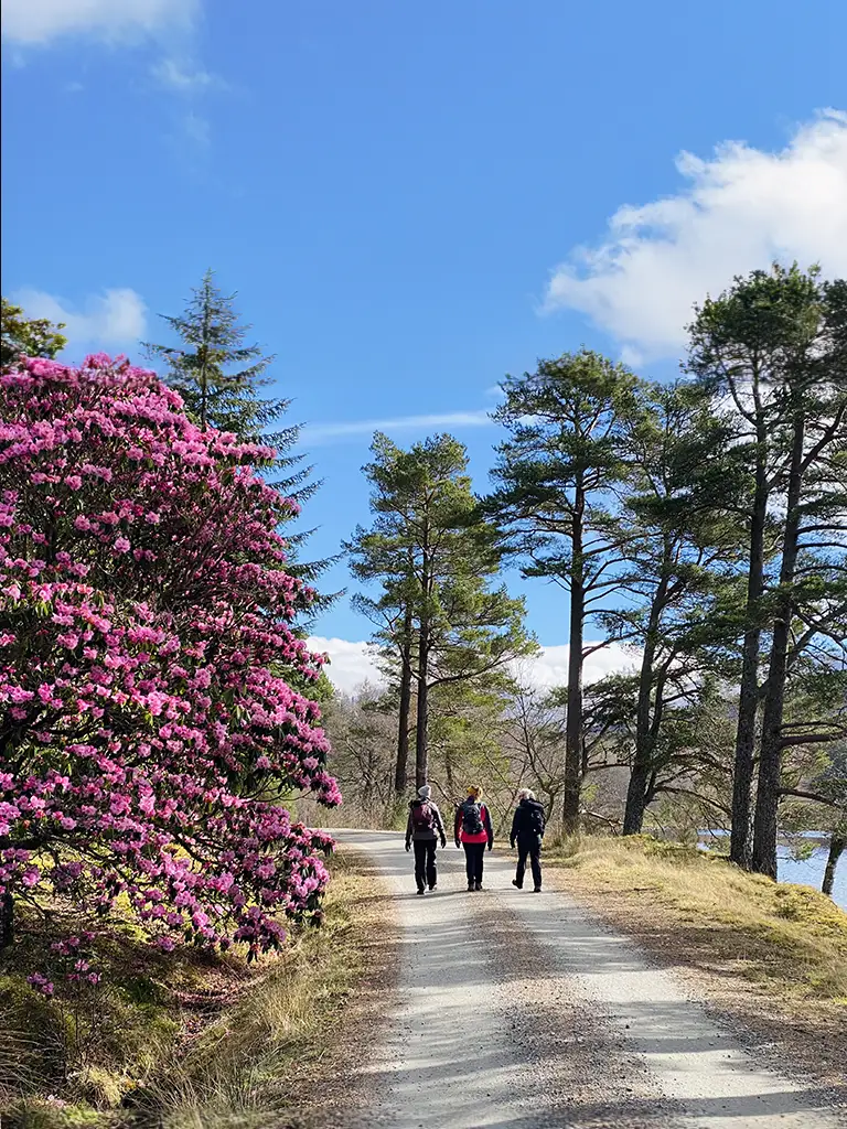 Walking Holidays Loch Ossian