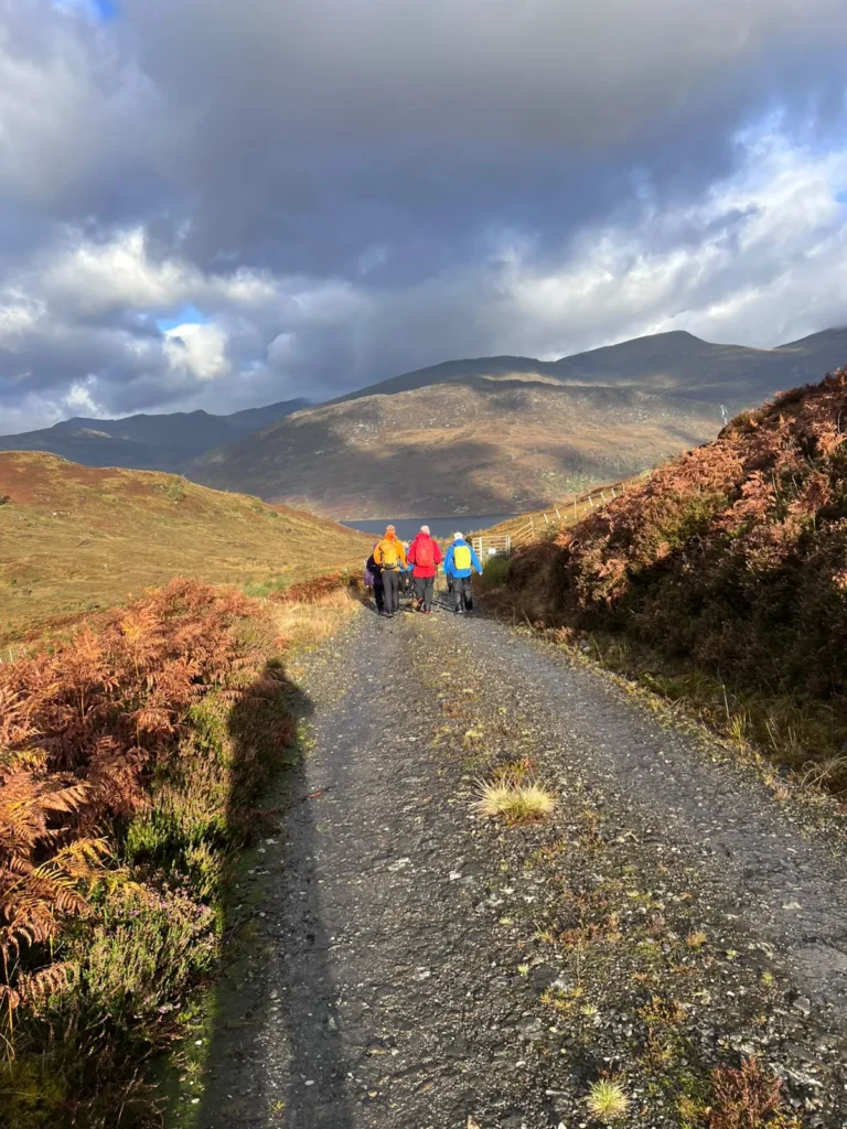 Walking group on the track among autumn bracken